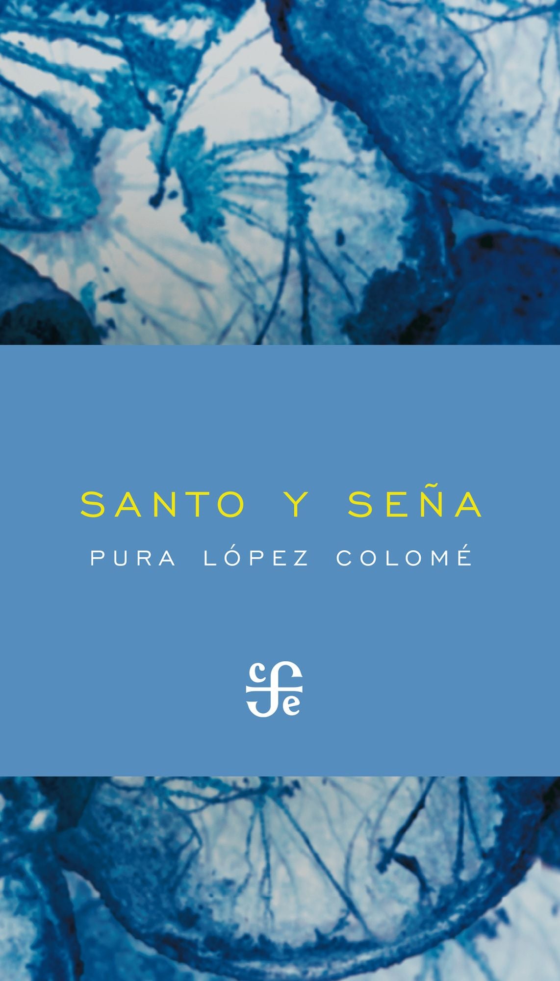 Santo y seña