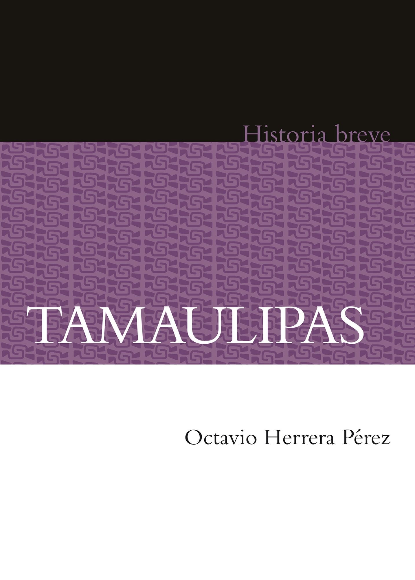 Tamaulipas. Historia breve