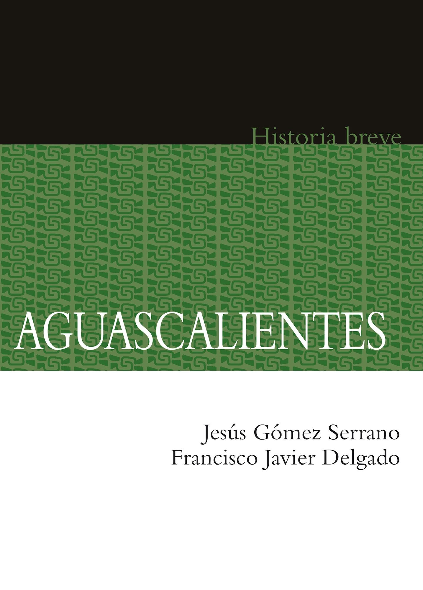 Aguascalientes. Historia breve