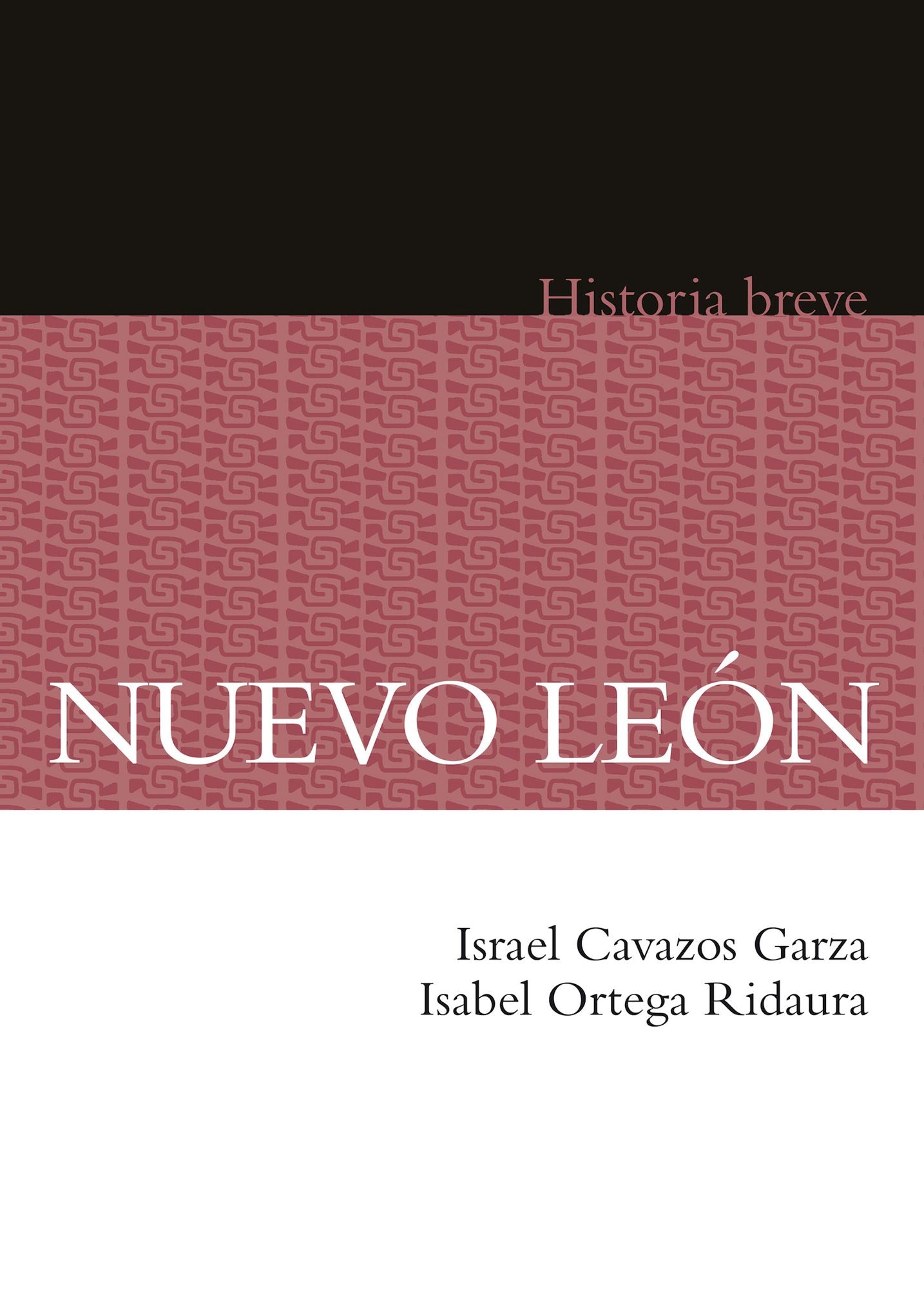 Nuevo León. Historia breve