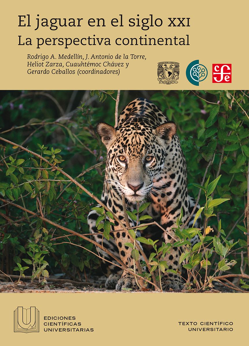 El jaguar en el siglo XXI: La perspectiva continental