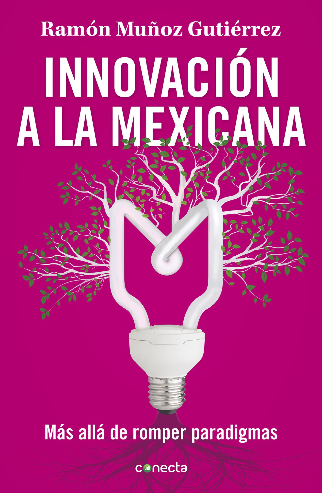 Innovación a la mexicana: Más allá de romper paradigmas