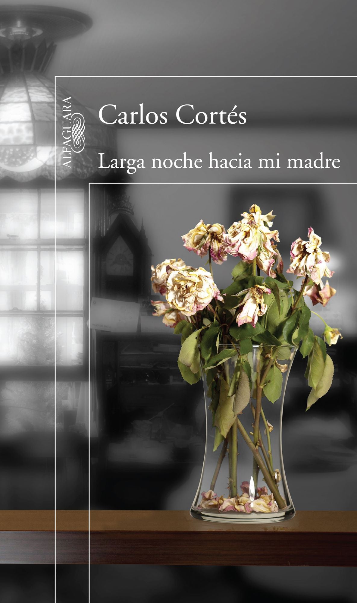 Larga noche hacia mi madre