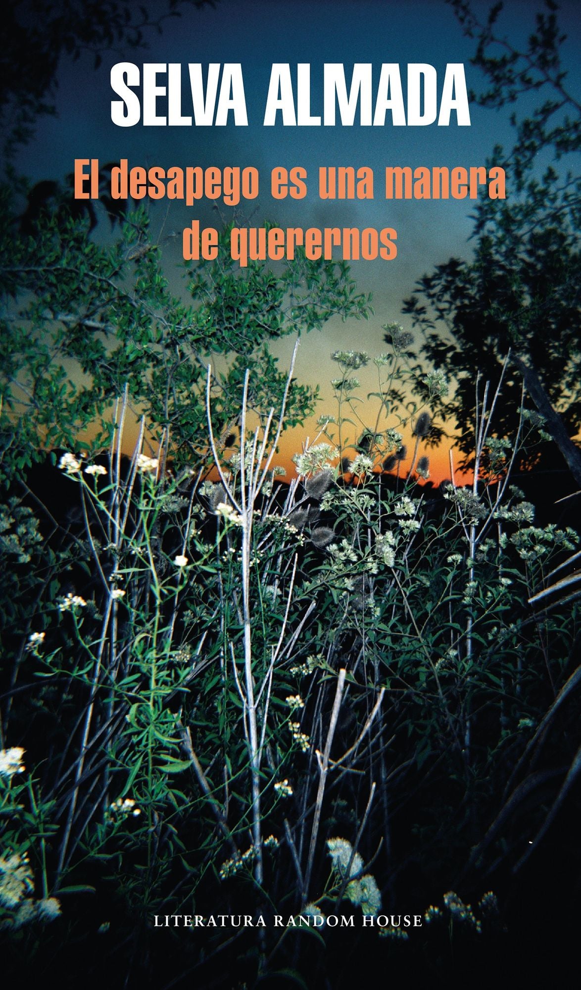 El desapego es una forma de quererse