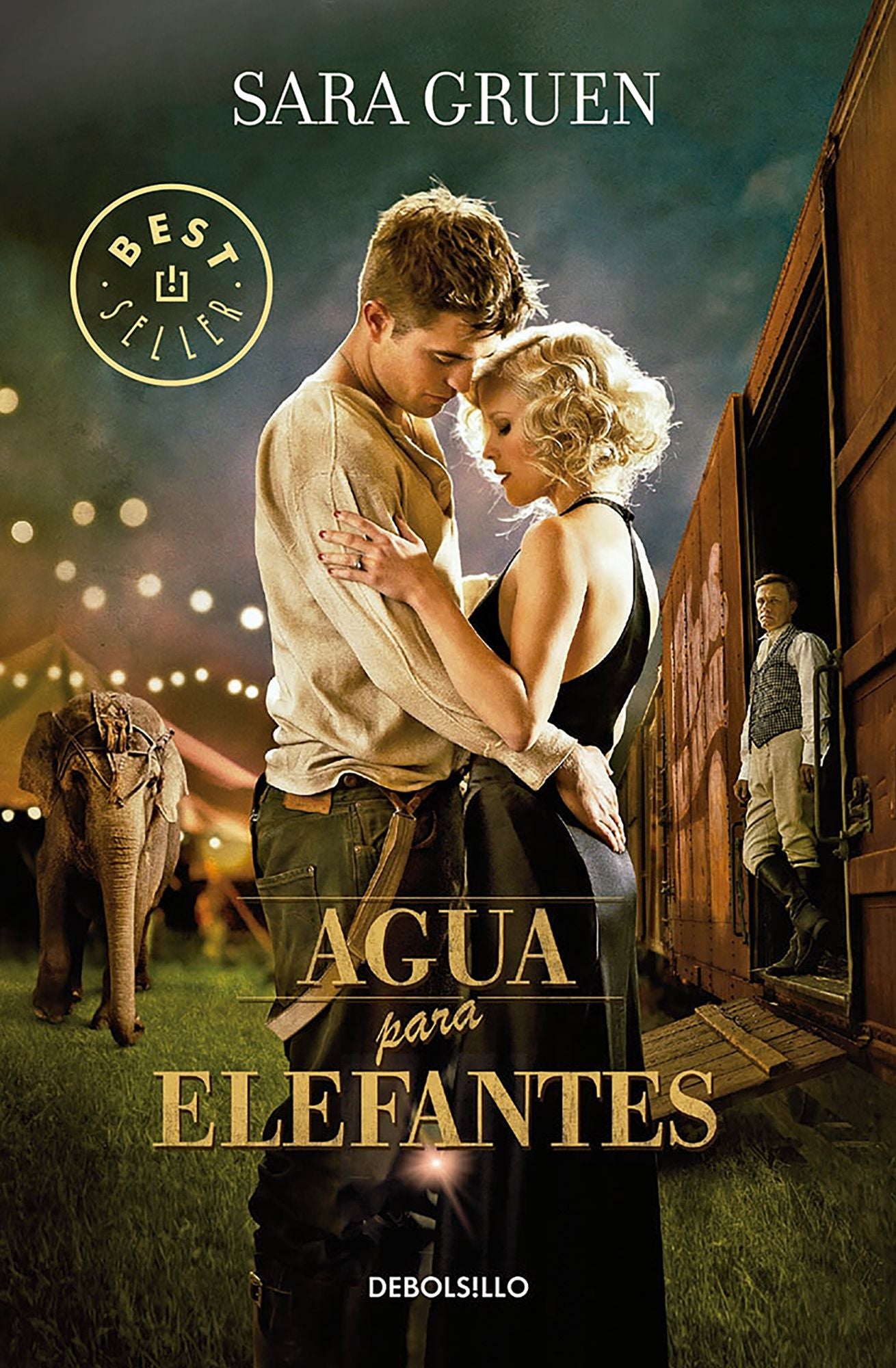 Agua para elefantes (MTI)