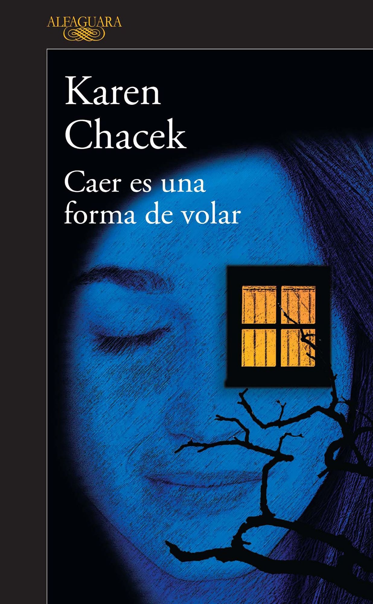 Caer es una forma de volar