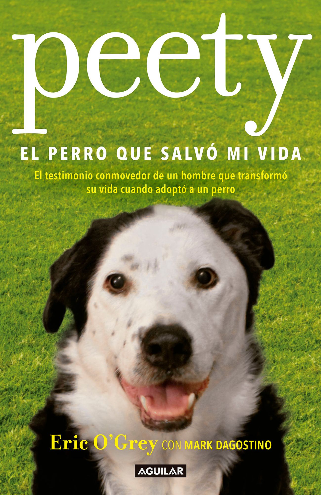 Peety, El Perro Que Salvï¿½ Mi Vida / Walking with Peety: The Dog Who Saved My Life