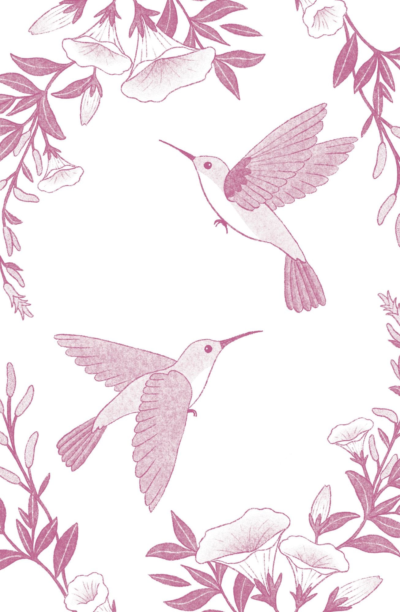 El viaje de los colibries 10 Aniversario / The Journey of the Hummingbirds