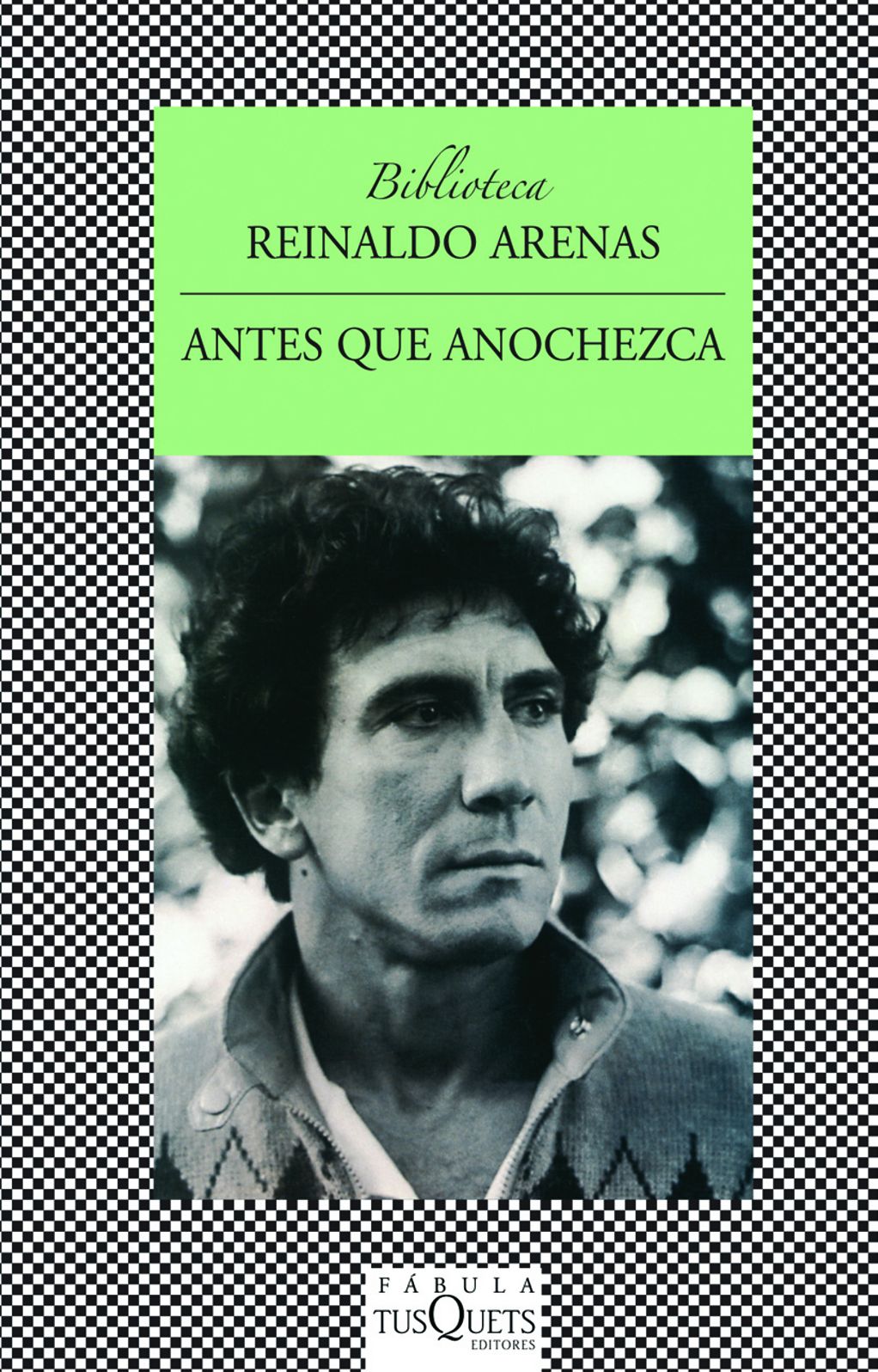 Antes que anochezca (Before Night Falls)