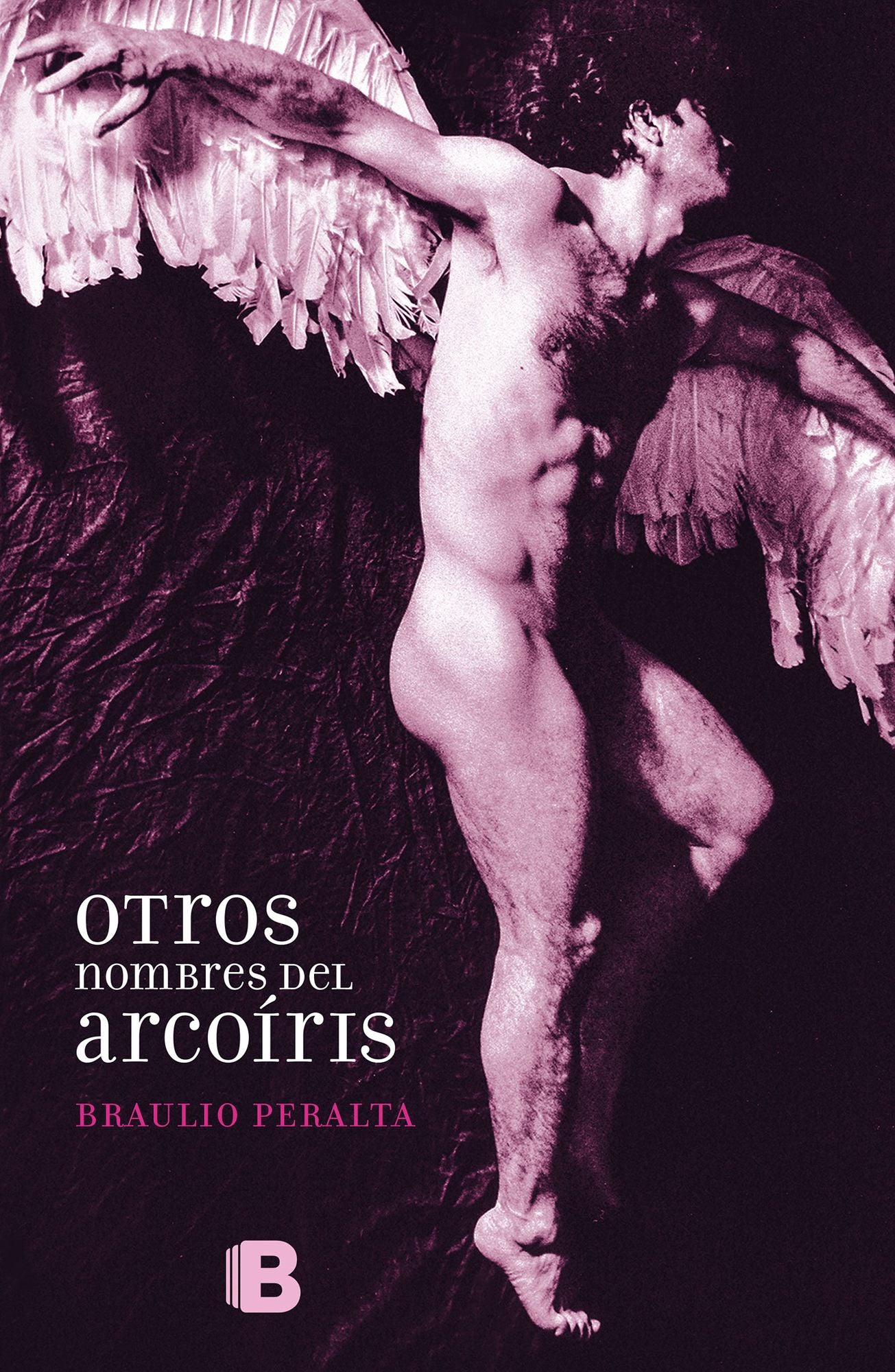 Otros nombres del arcoiris: Alegatos contra el machismo