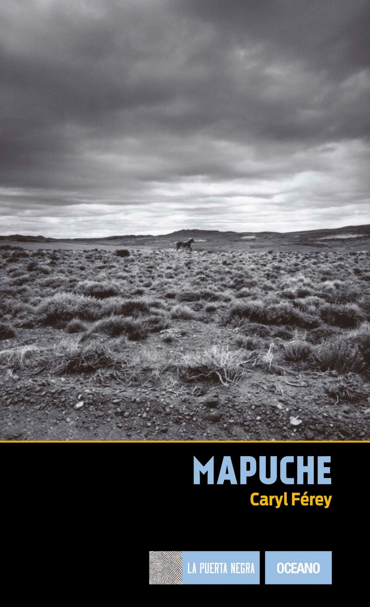 Mapuche