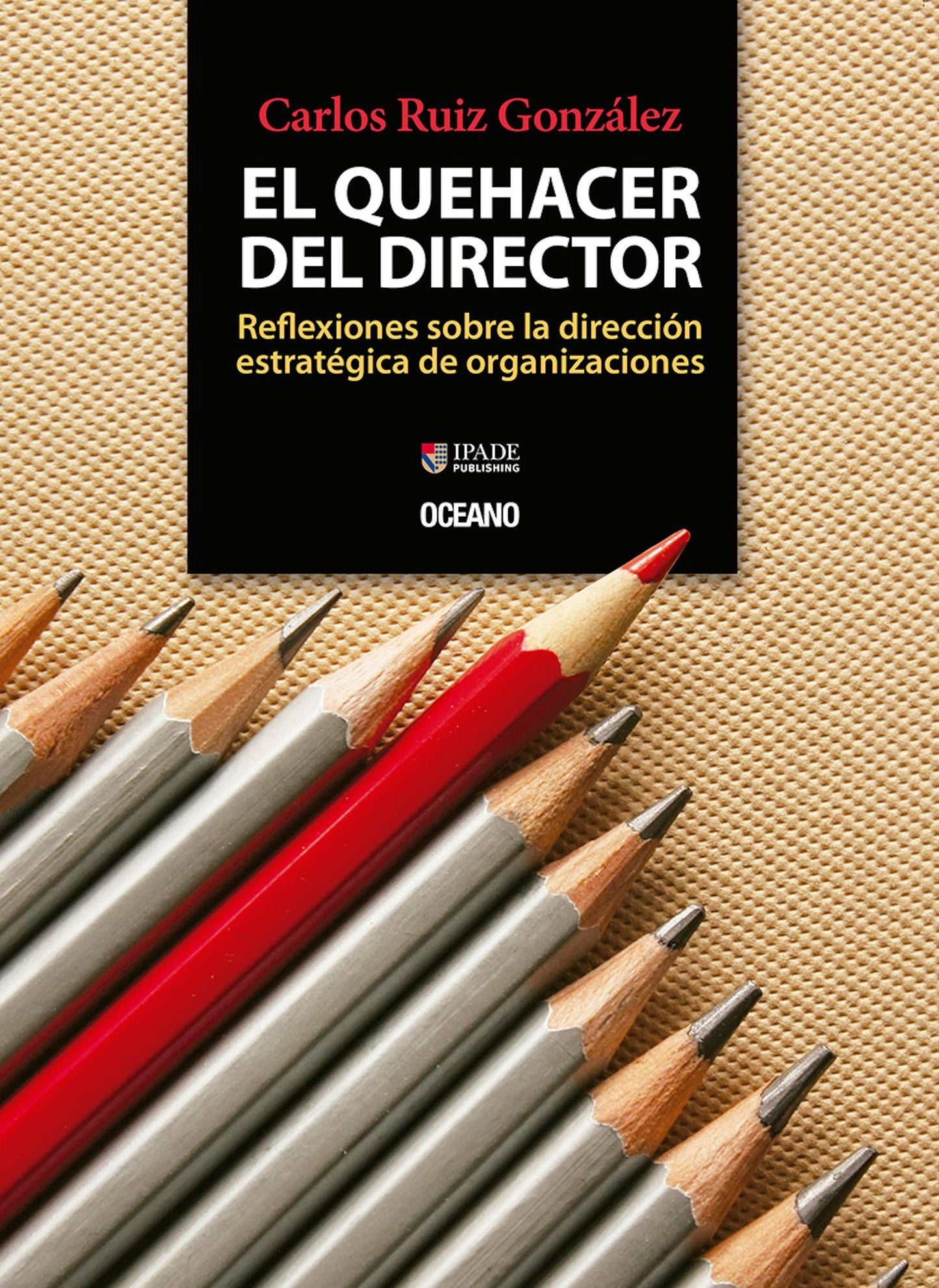 El quehacer del director : Reflexiones sobre la dirección estratégica de organizaciones