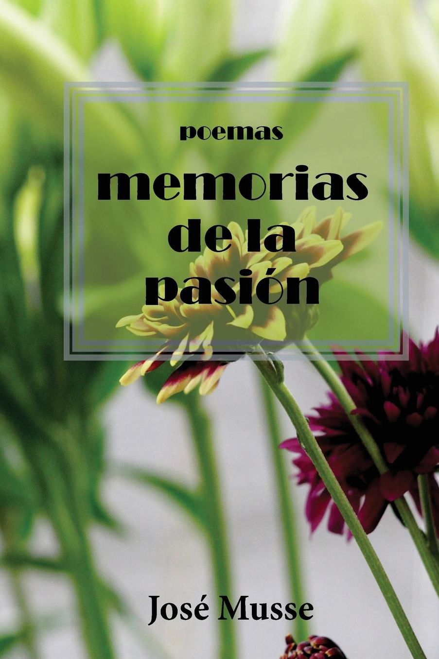 Memorias de la pasi n: poesias