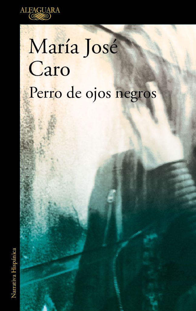 Perro de ojos negros
