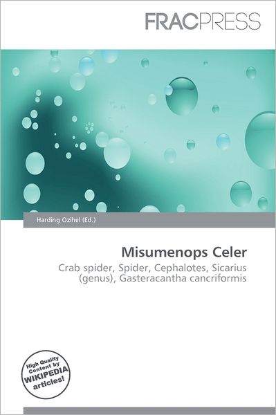 Misumenops Celer