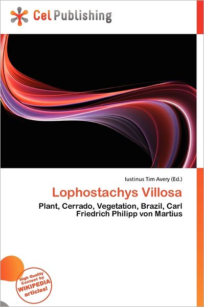Lophostachys Villosa