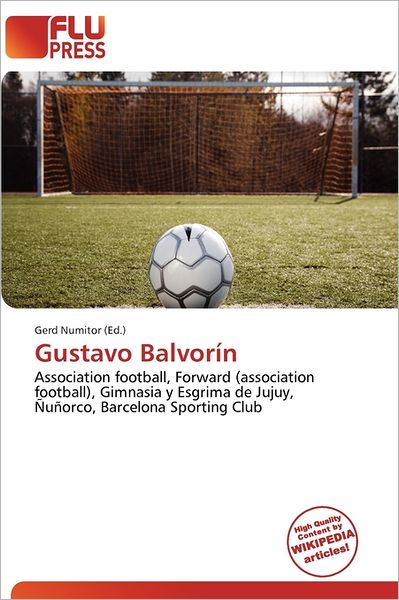 Gustavo Balvor N