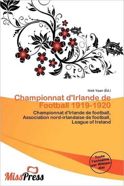 Championnat D'Irlande De Football 1919-1920