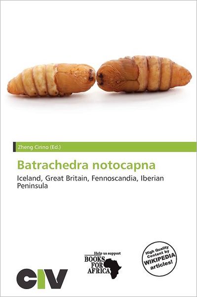 Batrachedra Notocapna