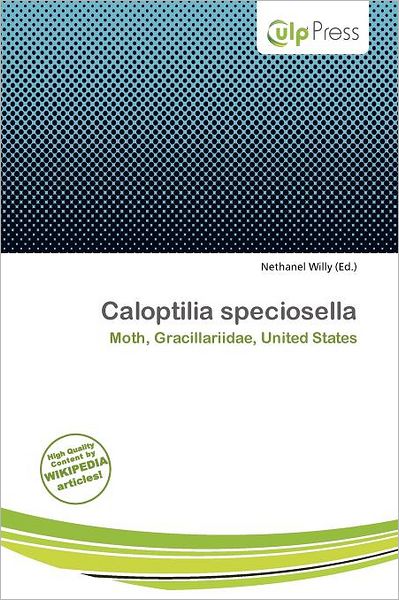 Caloptilia Speciosella