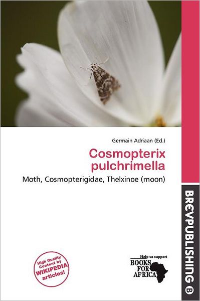 Cosmopterix Pulchrimella