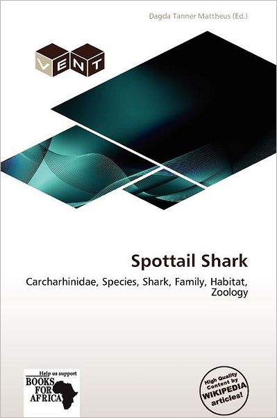 Spottail Shark