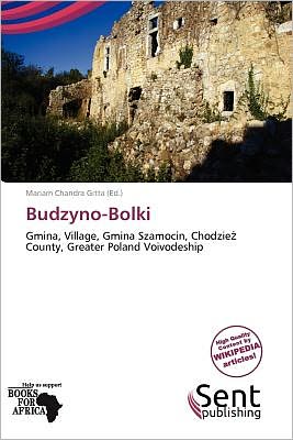 Budzyno-Bolki