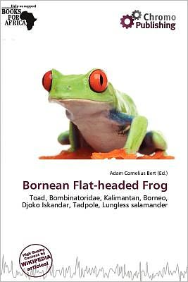 Bornean Flat-Headed Frog