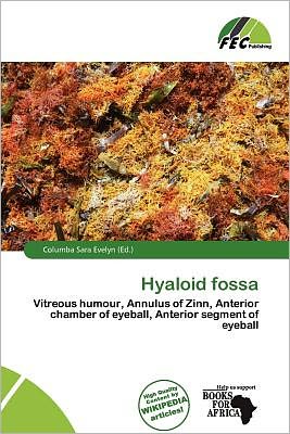 Hyaloid Fossa