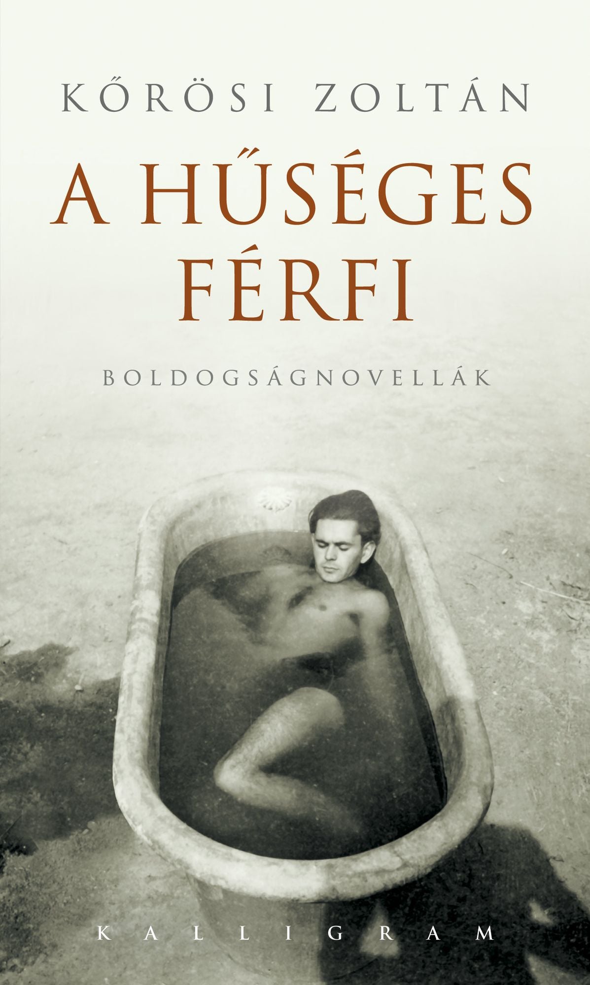 A hűs&eacute;ges f&eacute;rfi&nbsp; : Boldogs&aacute;gnovell&aacute;k