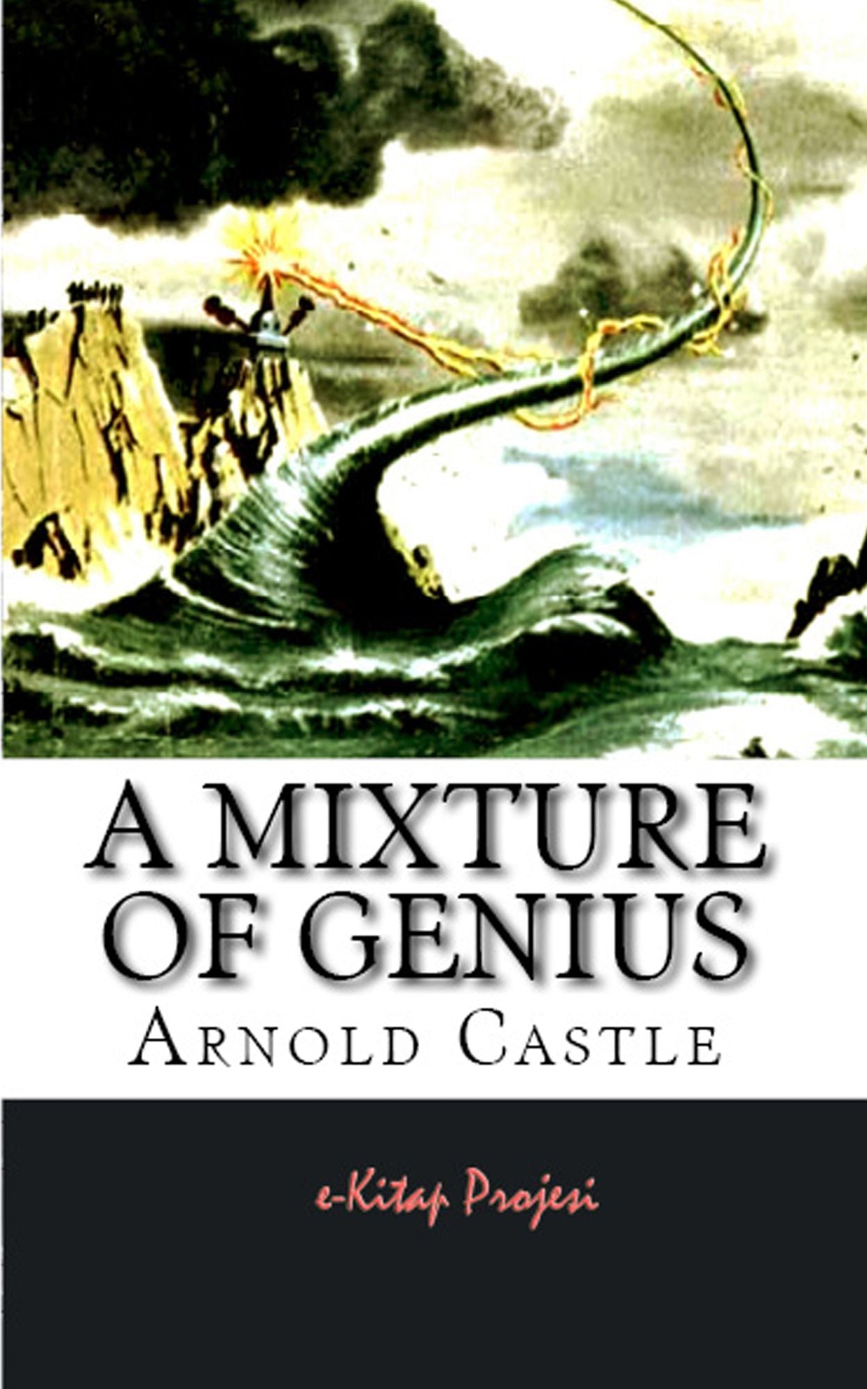 A Mixture of Genius: Illustrated