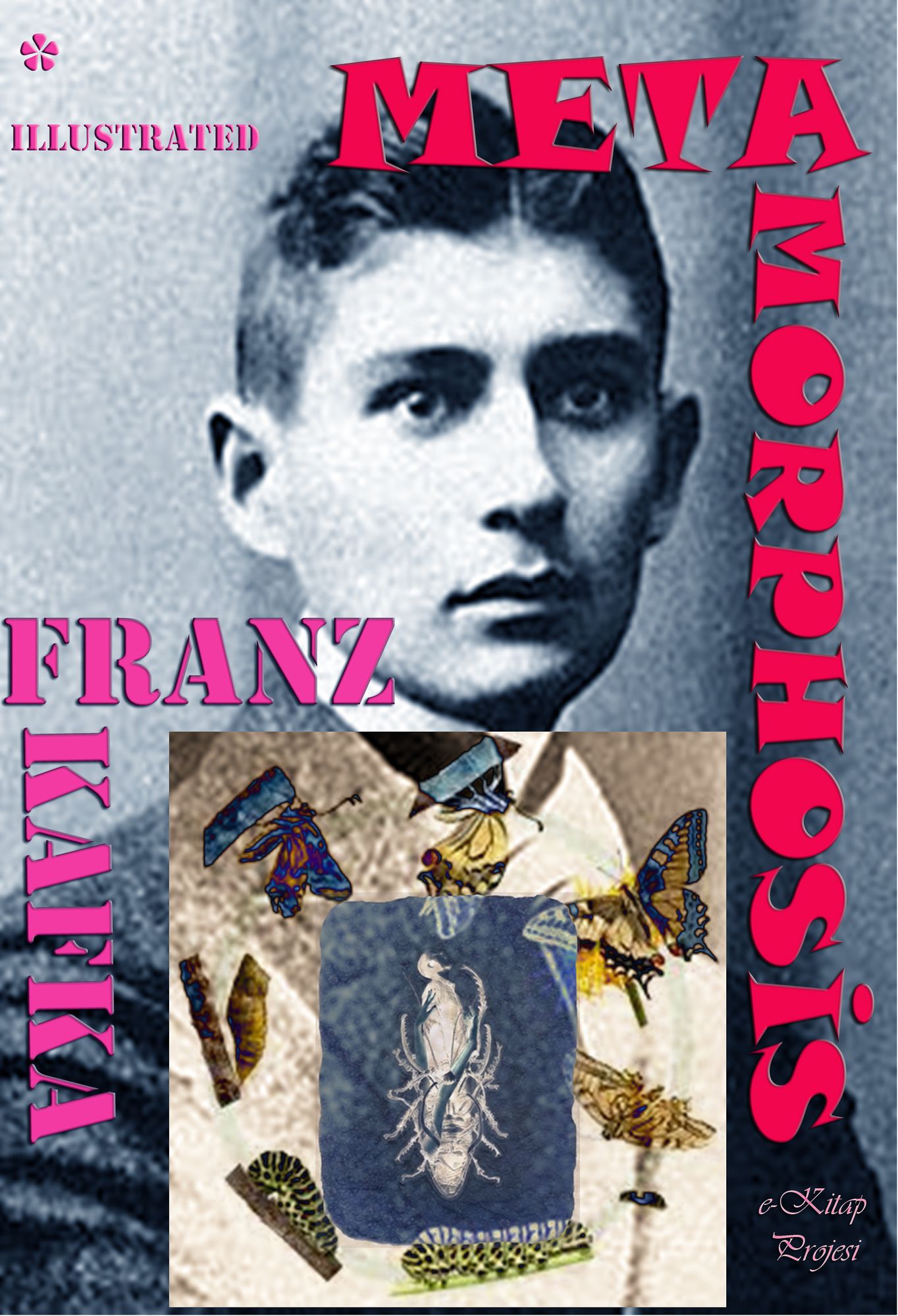 Metamorphosis: {Illustrated}