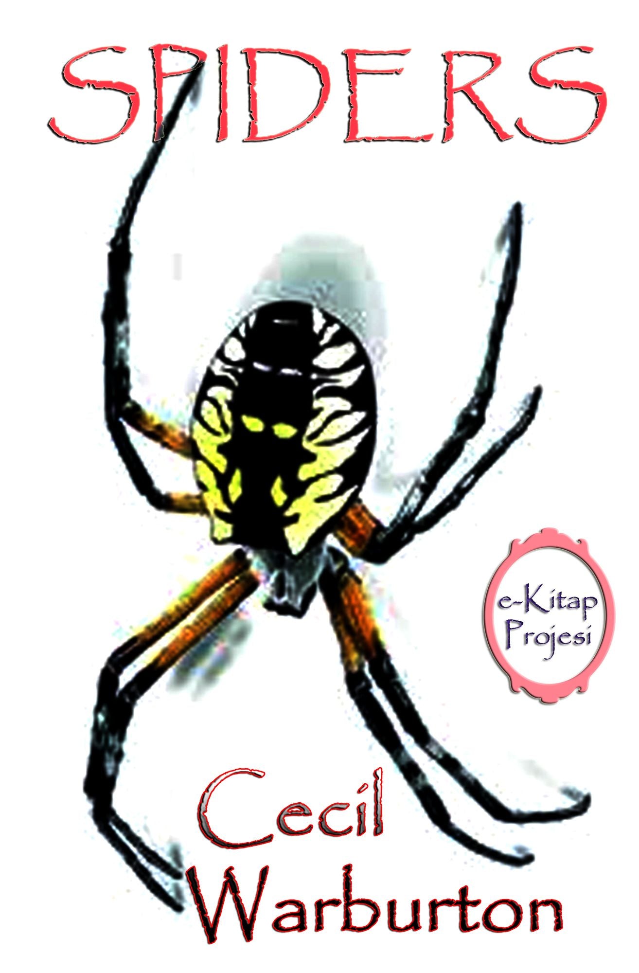 Spiders
