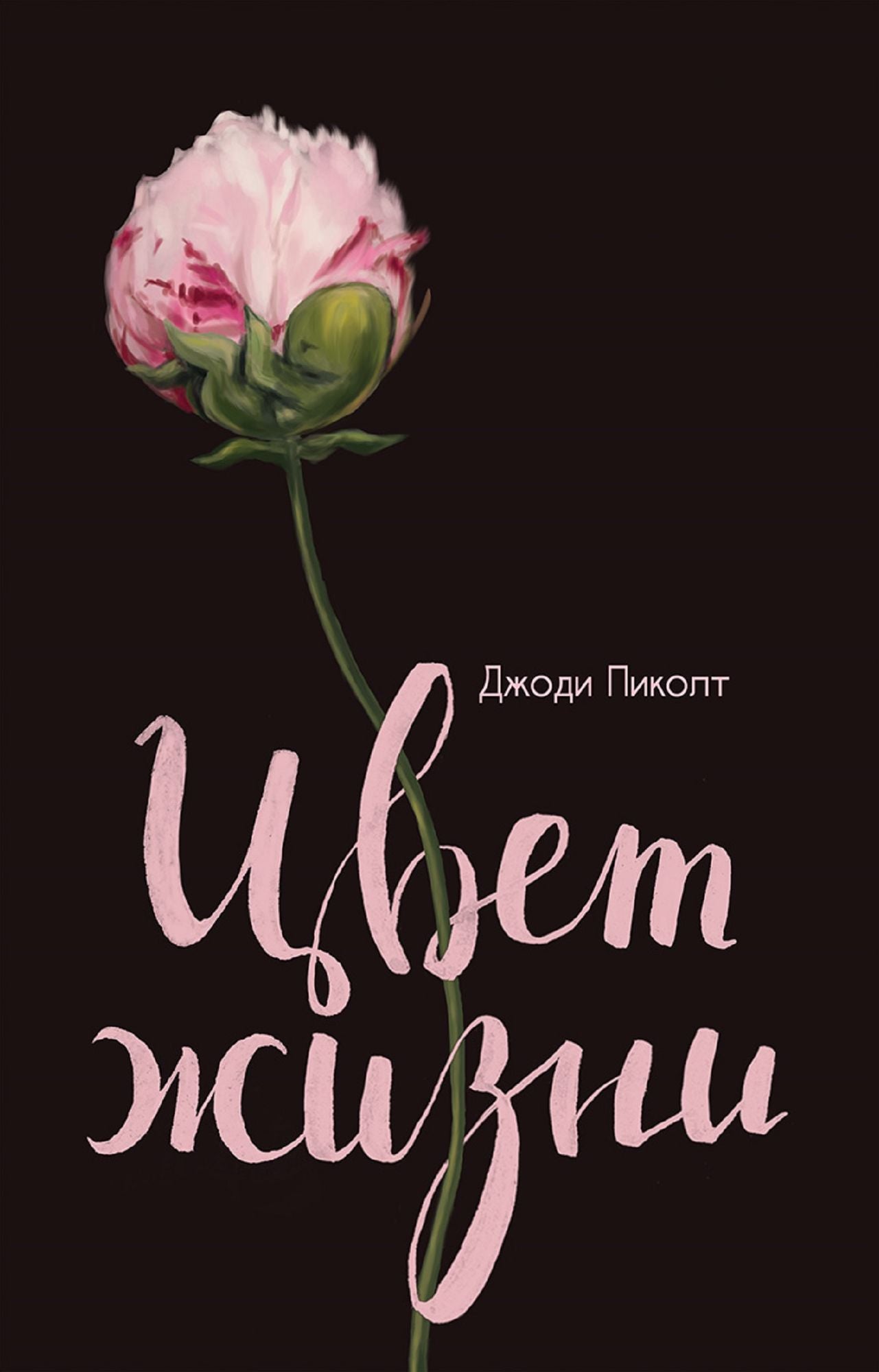 Untitled (Russian)