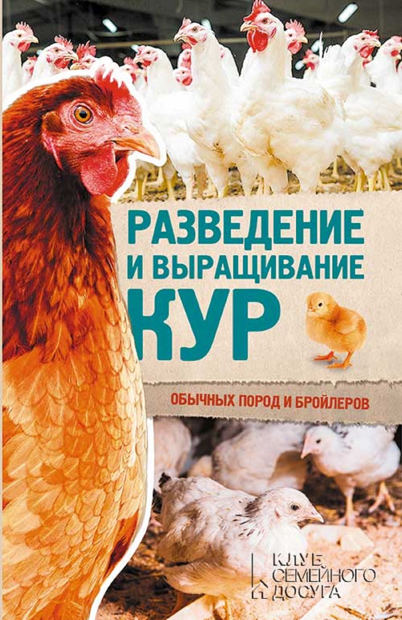 Untitled (Russian)