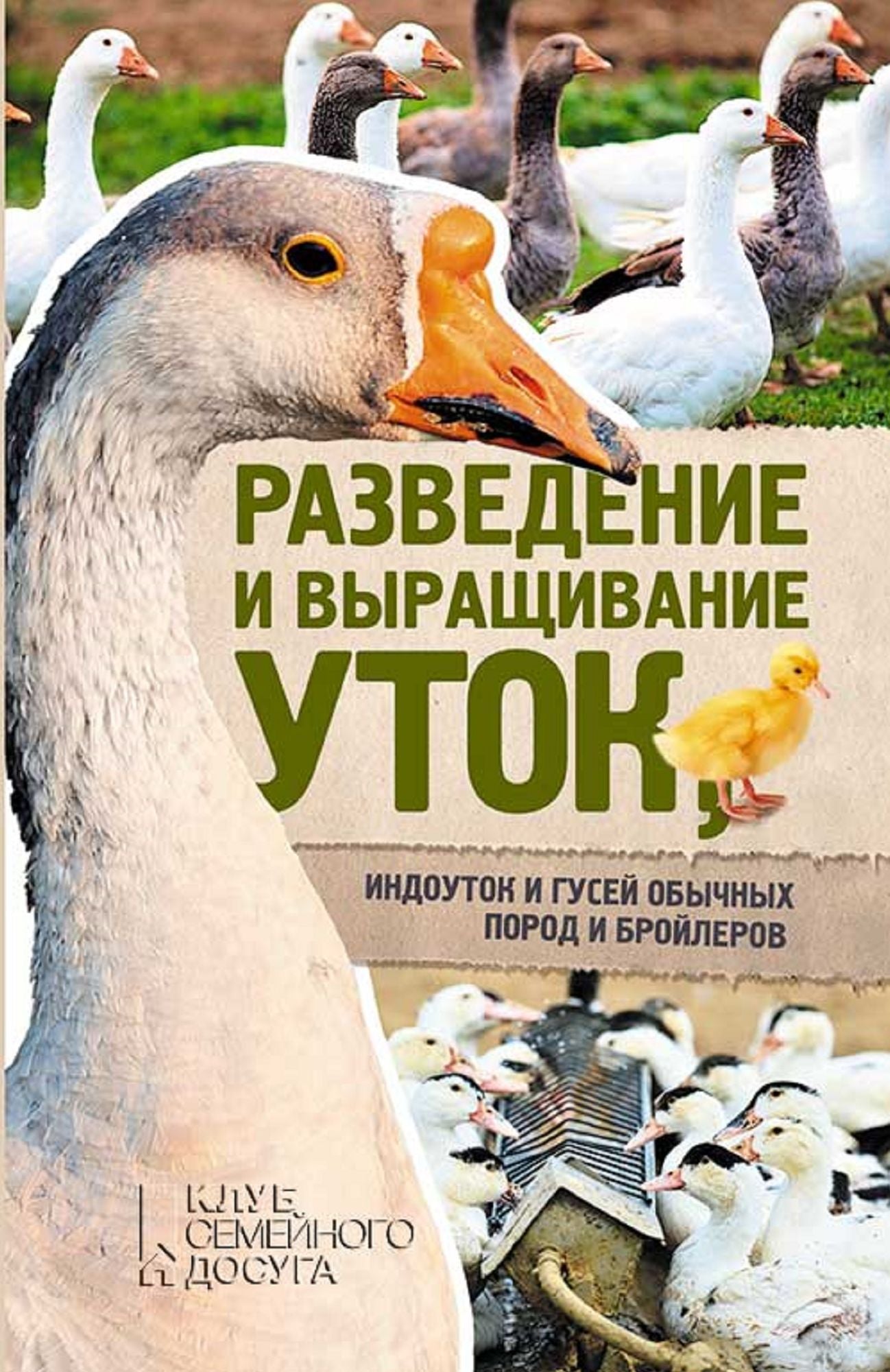 Untitled (Russian)