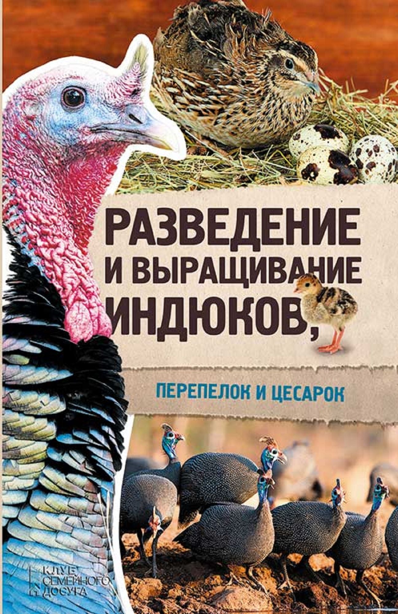 Untitled (Russian)