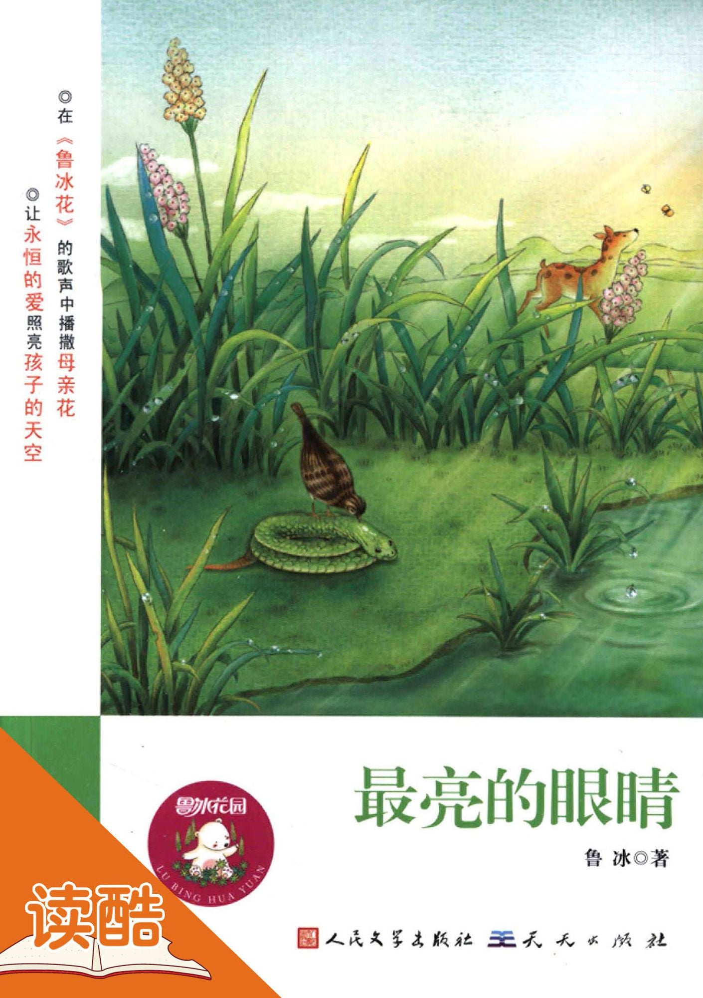 The Brightest Eyes (Ducool Masterpiece Hand-painted Illustration Edition): (Ducool Masterpiece Hand-painted Illustration Edition)
