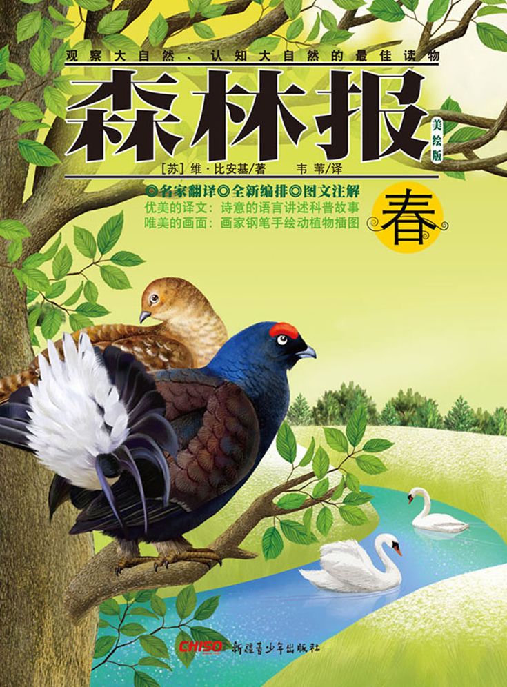 Forest Report*Spring