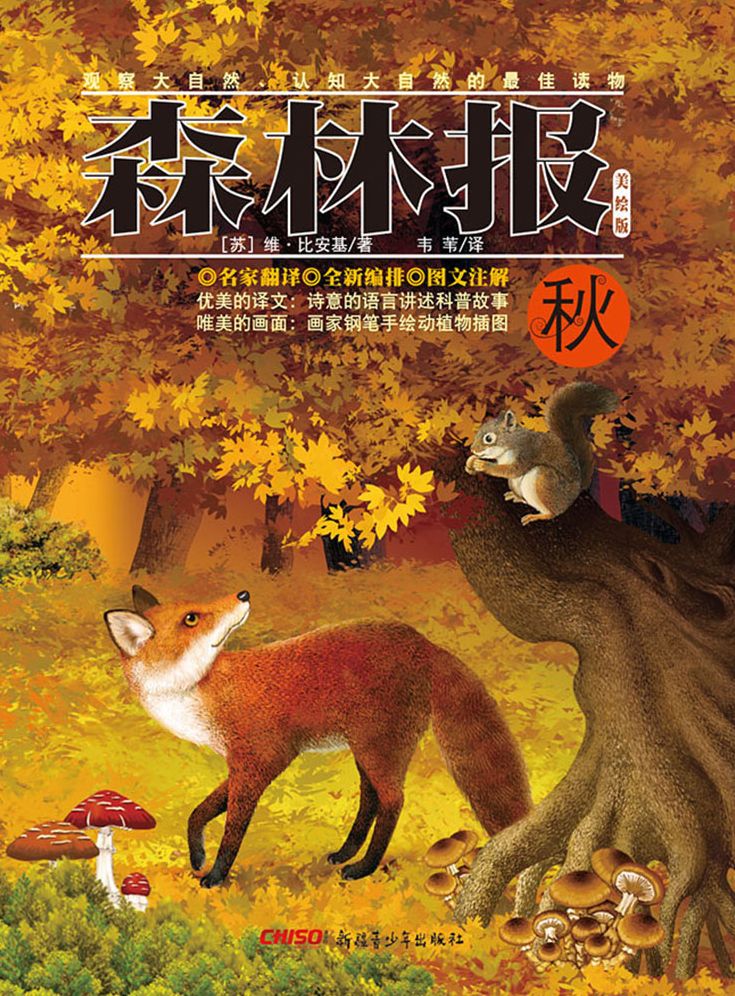 Forest Report*Autumn