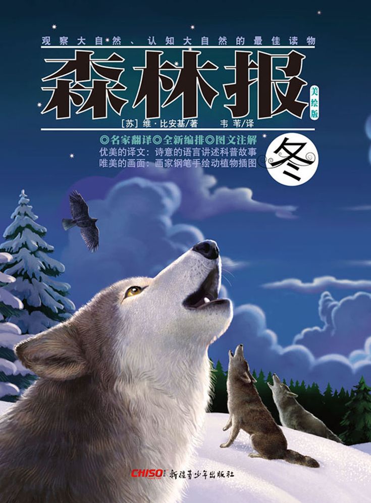 Forest Report*Winter