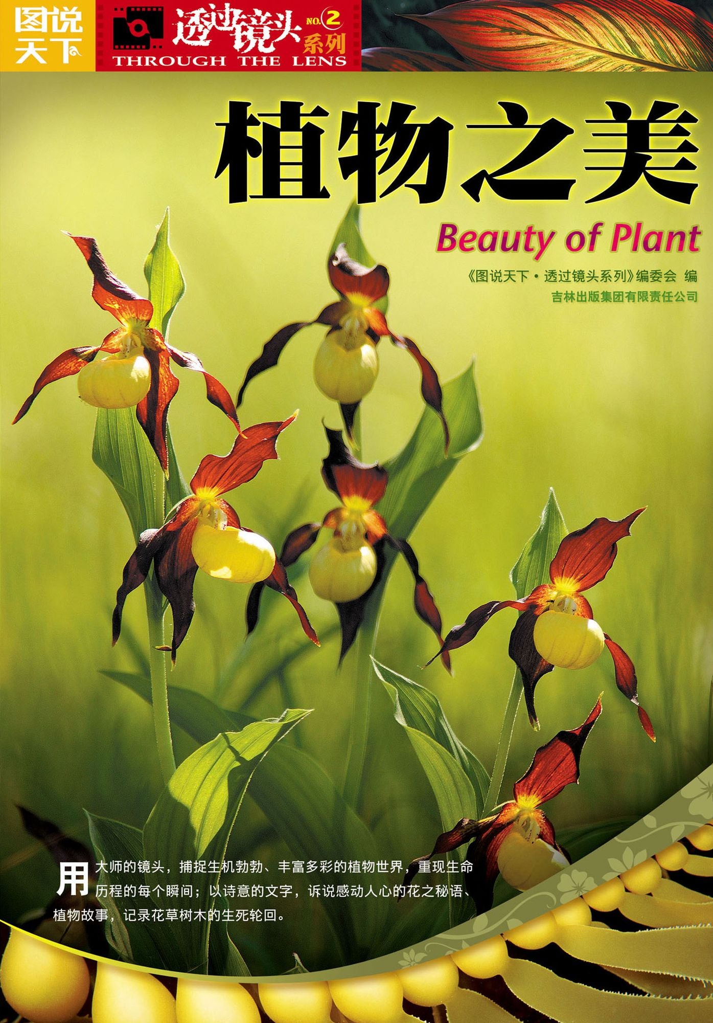 Beauty of Plant