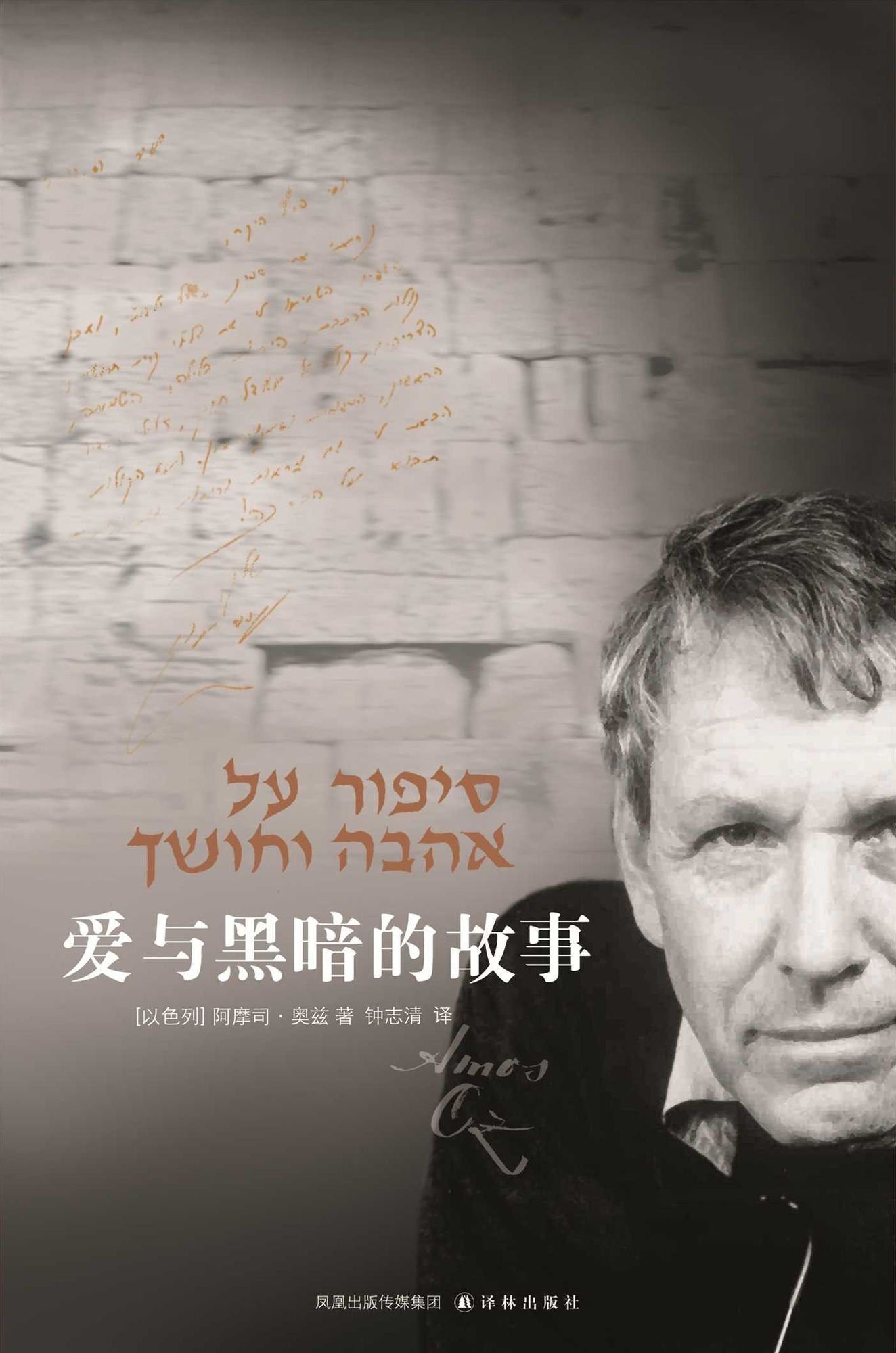 A Tale Of Love And Darkness (Mandarin Edition)