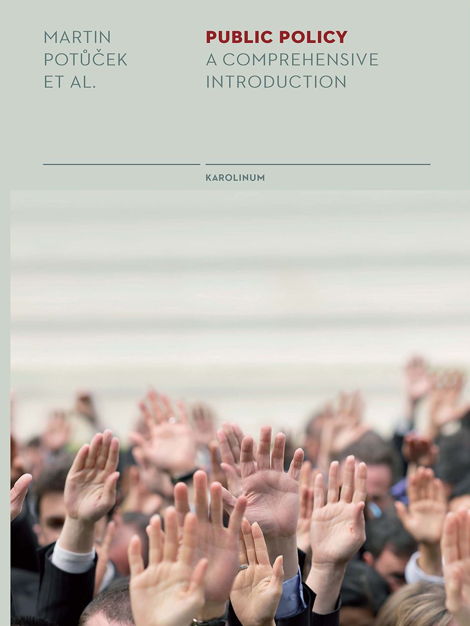 Public Policy: A Comprehensive Introduction