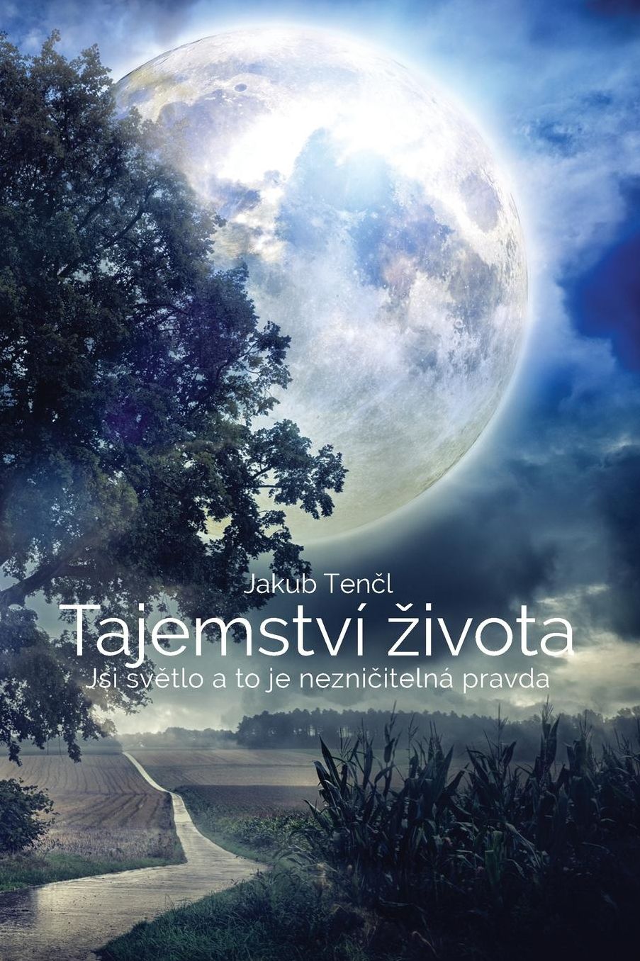 Tajemství Zivota (Czech edition): Jsi svetlo a to je neznicitelná pravda