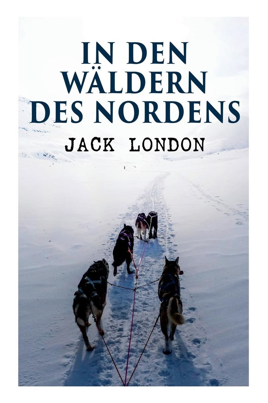 In Den Wï¿½ldern Des Nordens