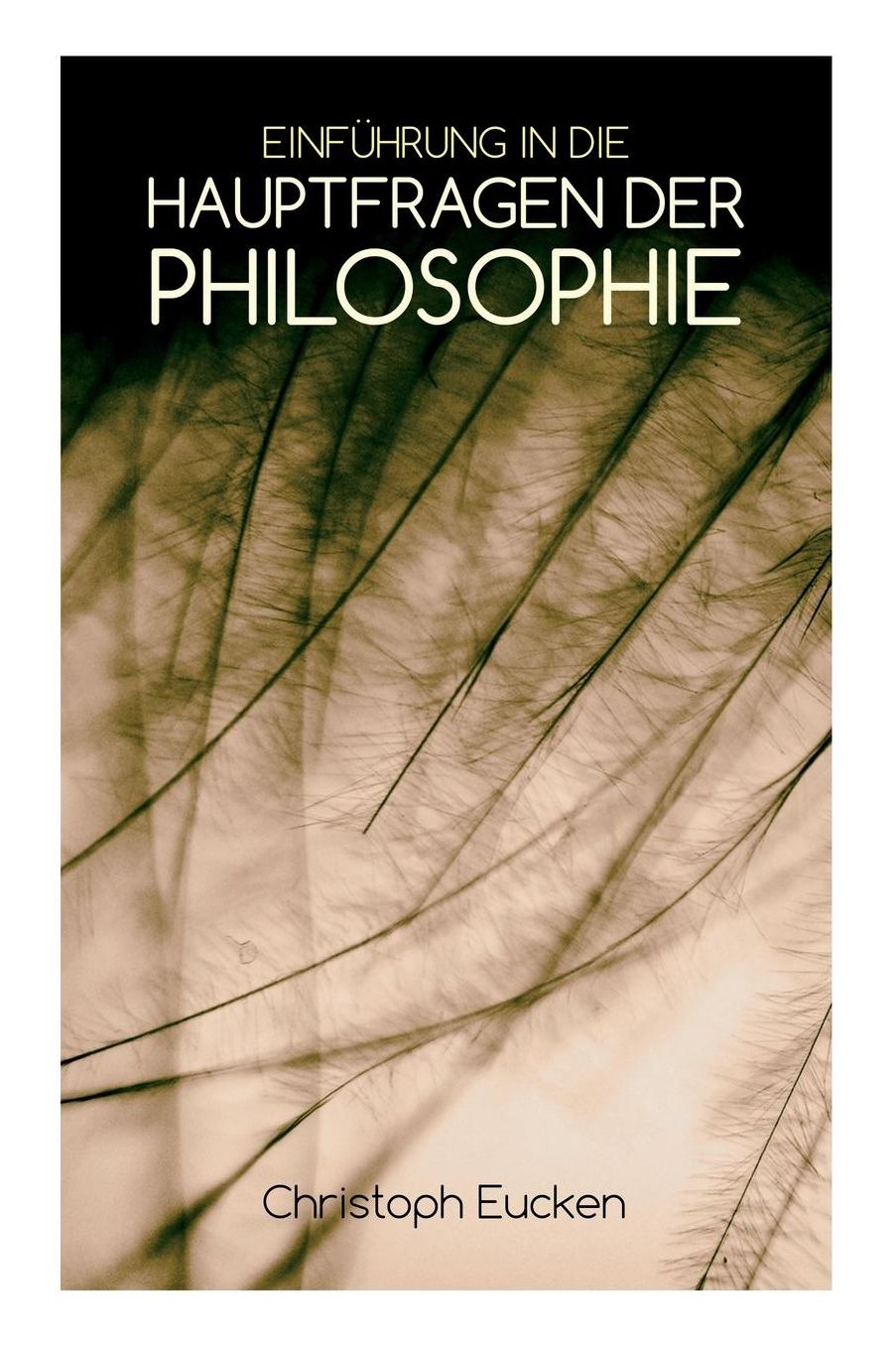 Einfï¿½hrung in Die Hauptfragen Der Philosophie