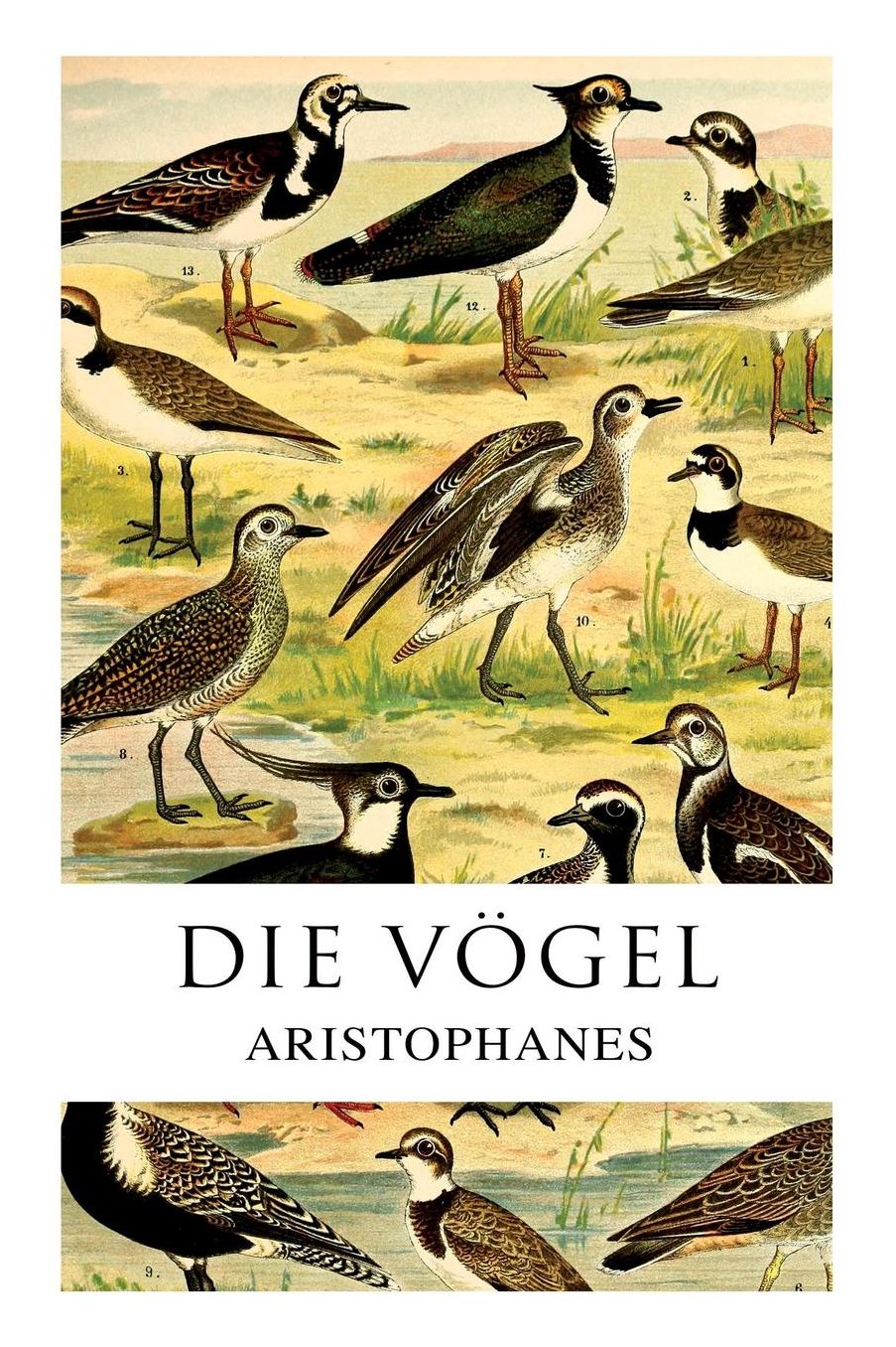 Die Vï¿½gel