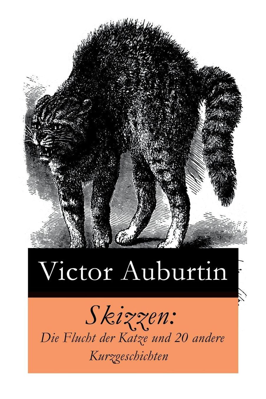 Skizzen: Die Flucht Der Katze Und 20 Andere Kurzgeschichten