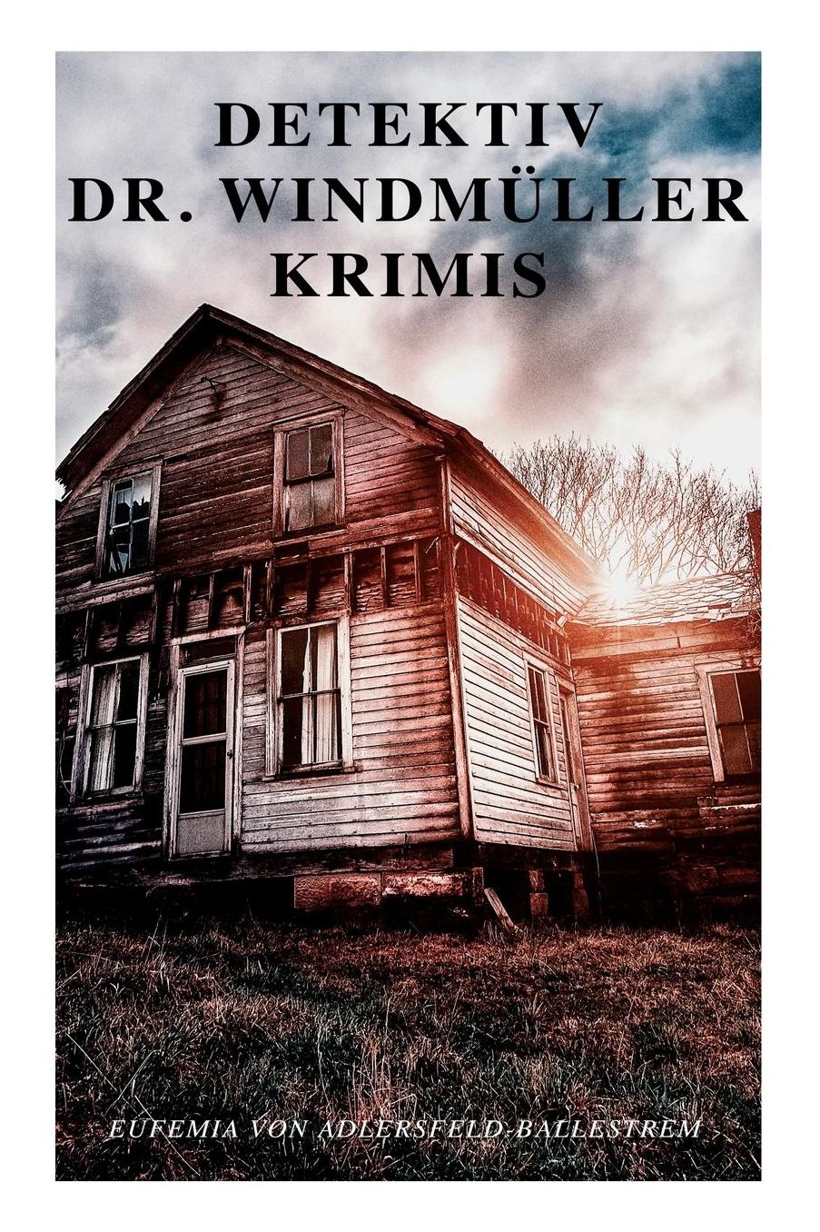 Detektiv Dr. Windmï¿½ller-Krimis